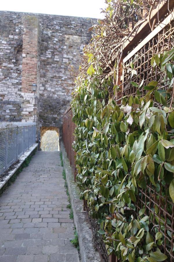 Central- Views - Air Conditioning - Easy Parking -Self Check In Perugia Exterior foto